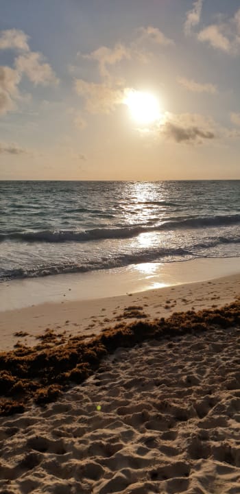 Strand Hotel Riu Palace Punta Cana