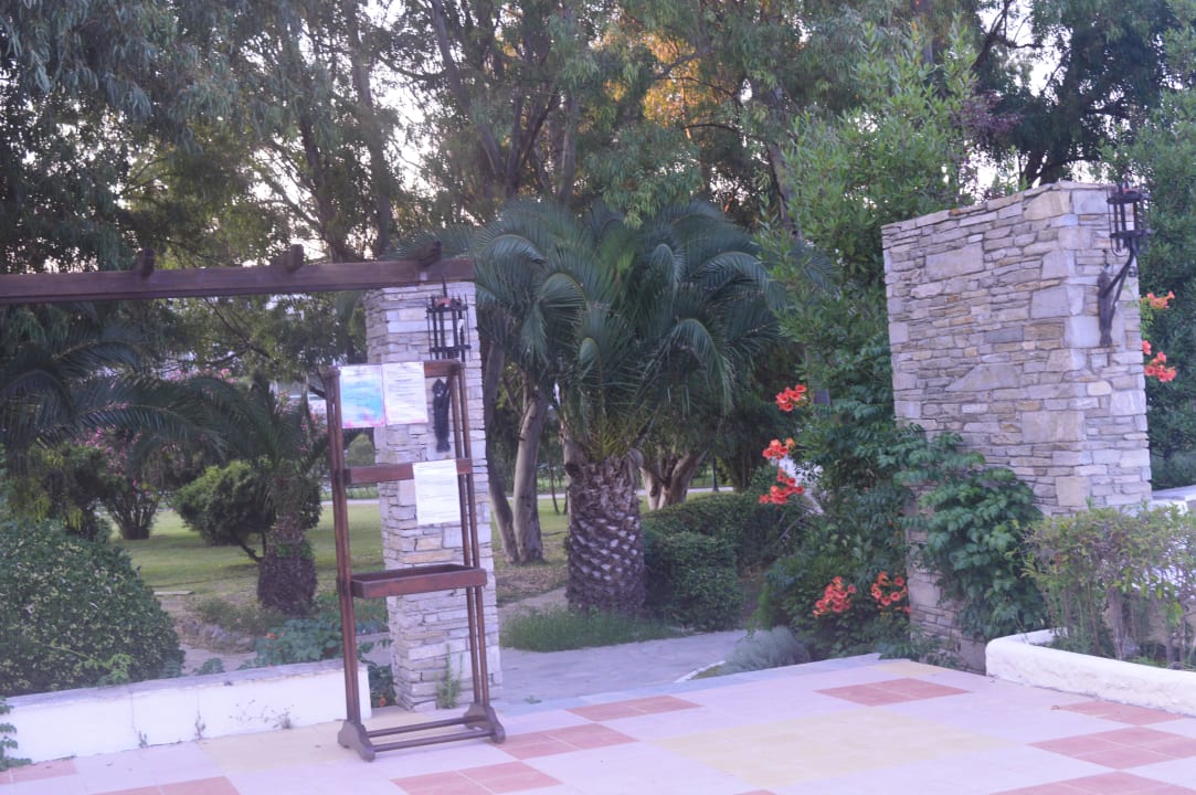 Przy basenie Hotel Athos Palace