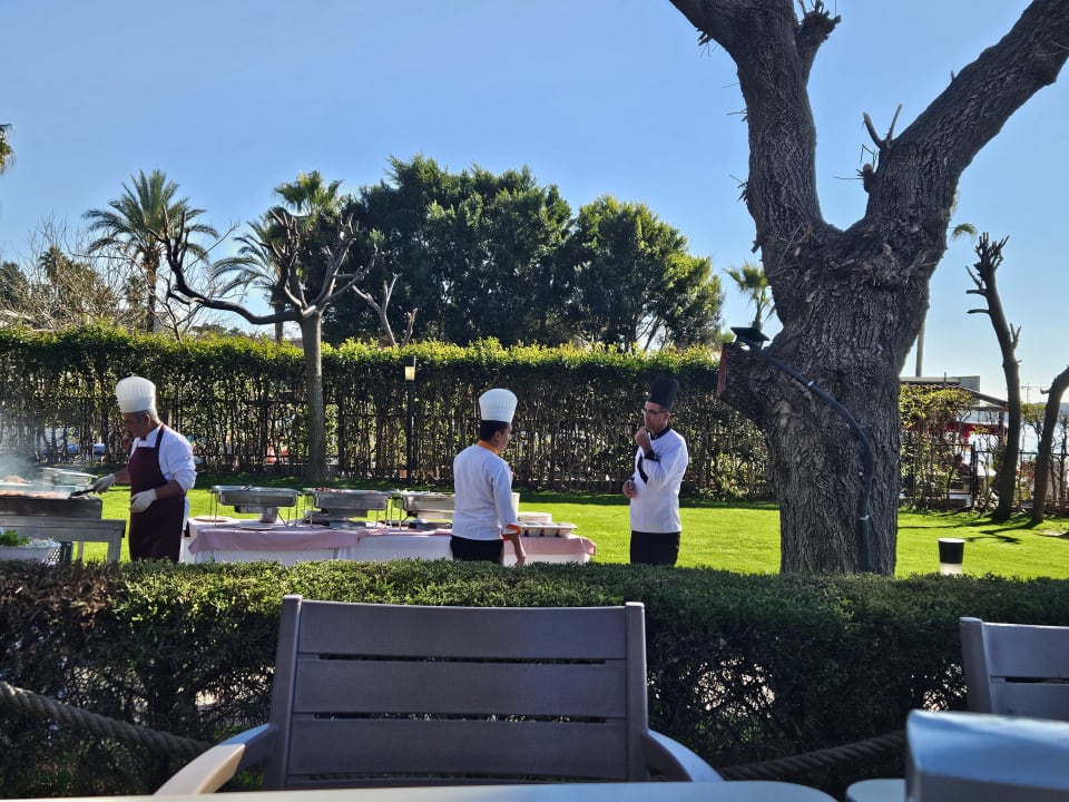 Gastro Side Star Elegance