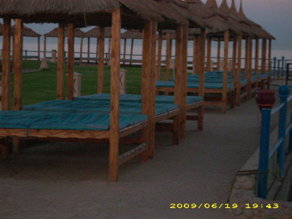 Strand Liegen Beach Albatros Resort