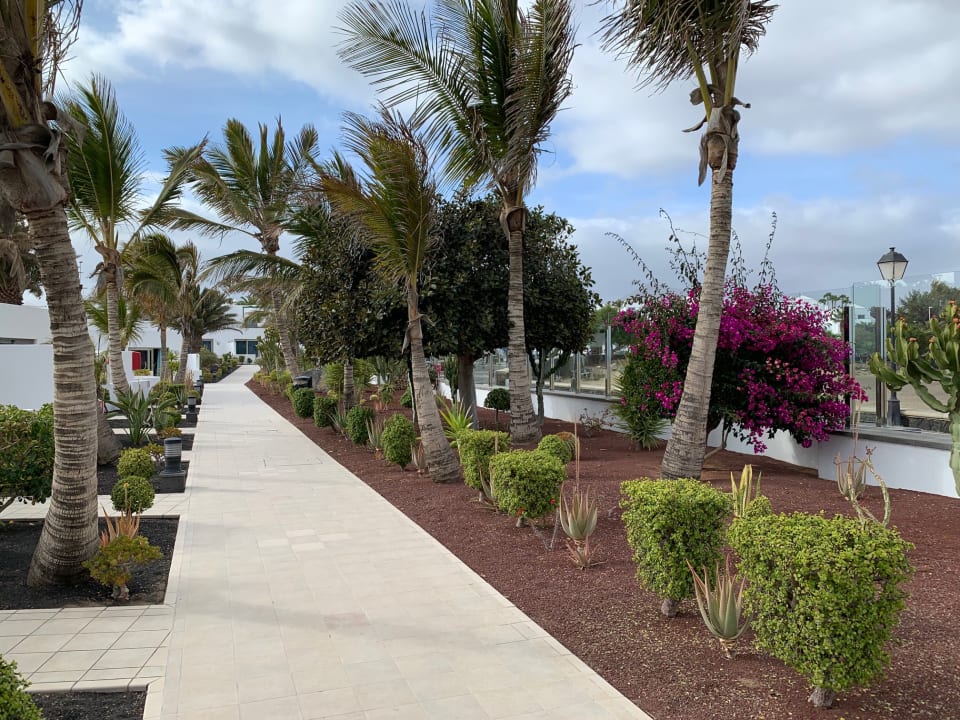 Außenansicht Hotel Las Costas