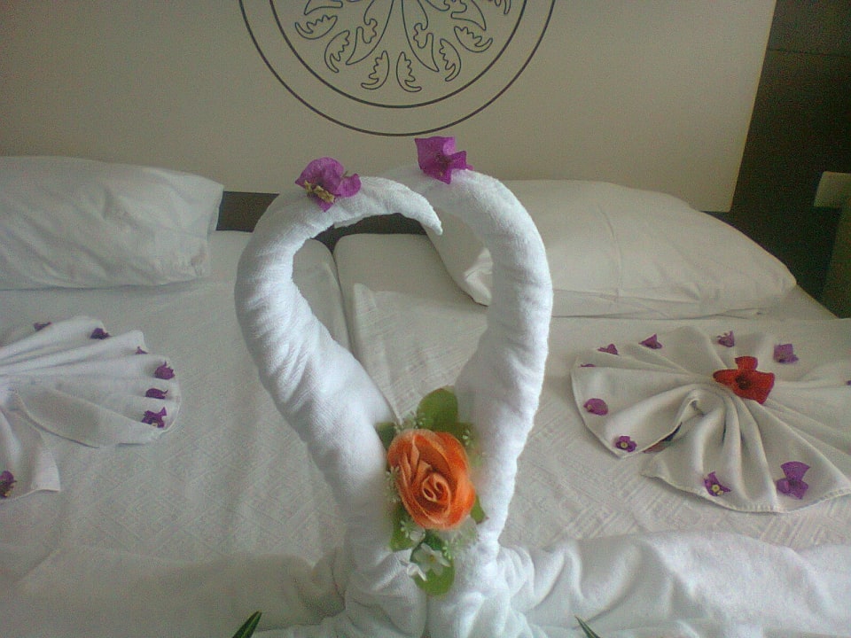 Deko Side Alegria Hotel & Spa - Adults only +16