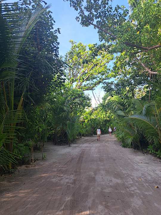Gartenanlage Kuredu Island Resort & Spa