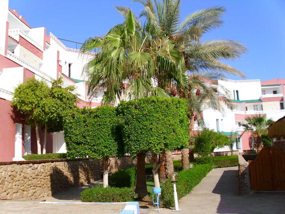 Haupthaus von der Anlage aus gesehen Albatros Sharm Resort