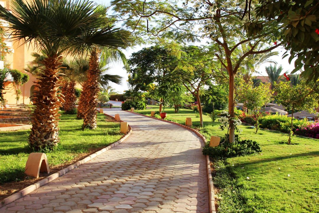 Gartenanlage Three Corners Sea Beach Resort