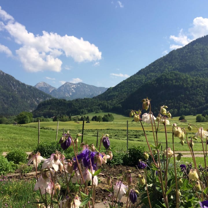 Blick über den Bauerngarten Schifterhof Ruhpolding