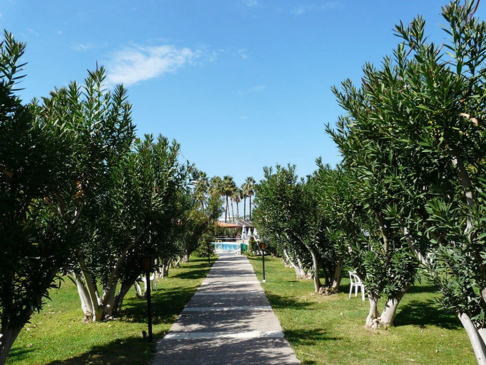 Gartenanlage Weg zum Pool Continental Palace