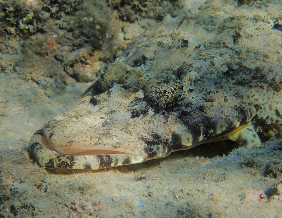 Sport & Freizeit Brayka Bay Resort