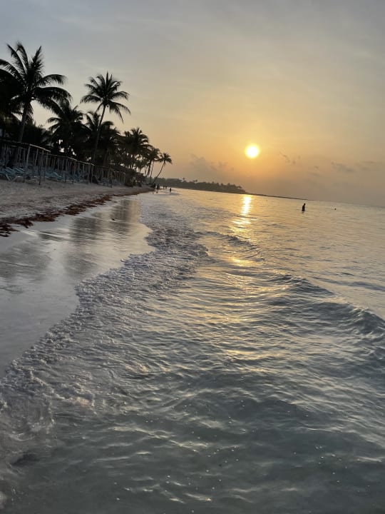 Strand Akumal Bay Beach & Wellness Resort
