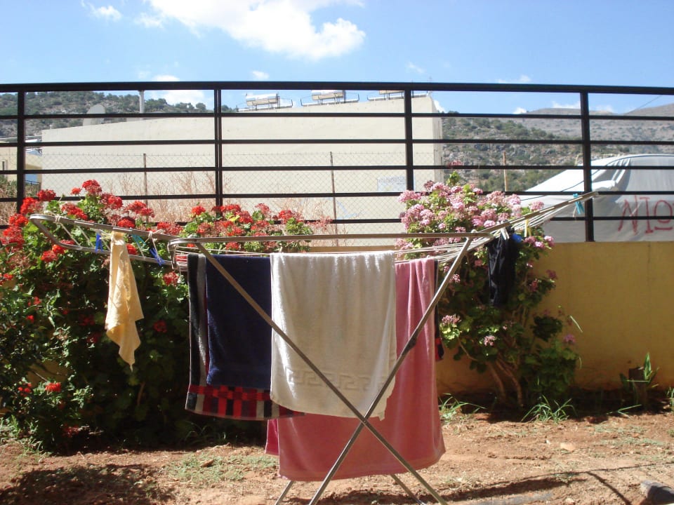 Wenig Ausblick aus dem Keller... Hotel Latania Apartments