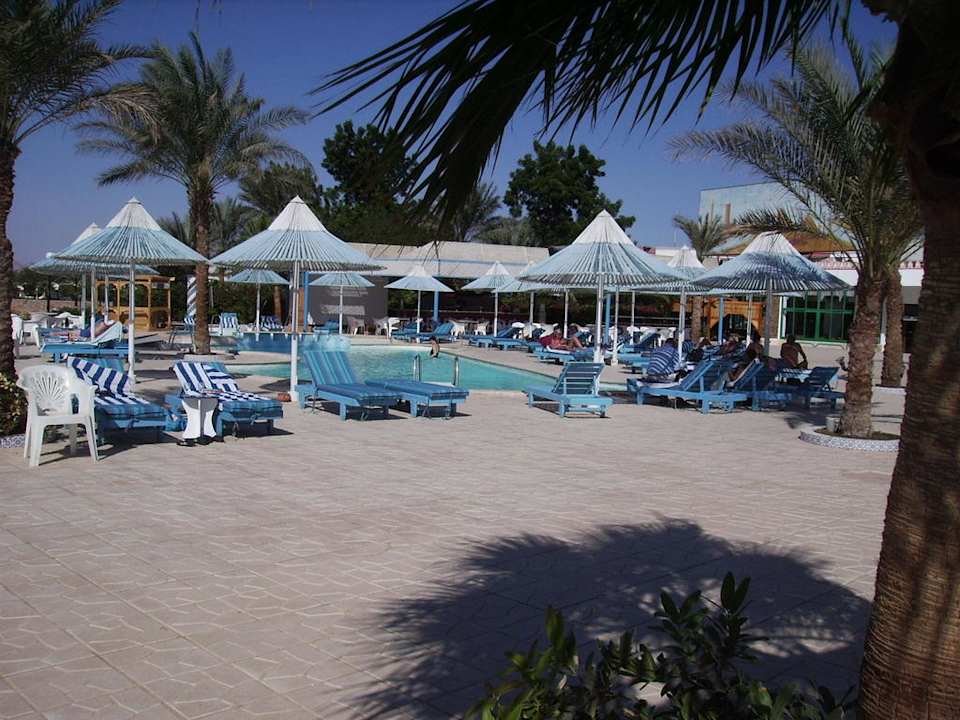 Mit Poolbar im Hintergrund Albatros Sharm Resort