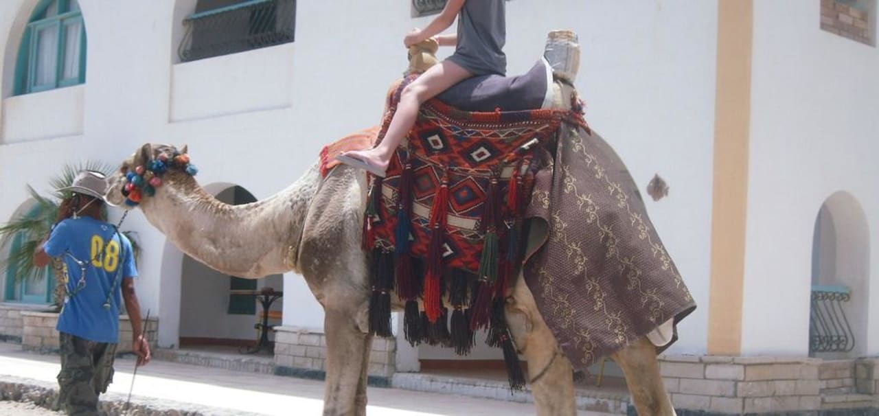 Kamelritt durchs Hotel Arabia Azur Resort