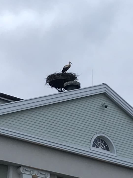 Außenansicht Hotel Bell Rock Europa-Park
