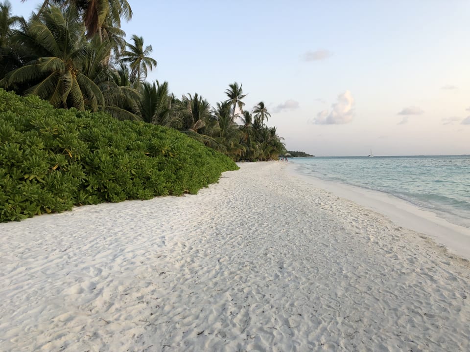 Strand Meeru Maldives Resort Island