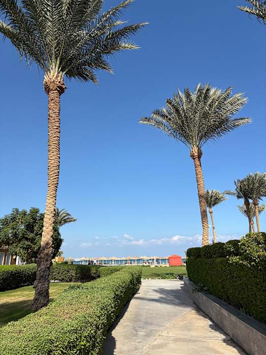 Gartenanlage Stella Beach Resort & Spa Makadi Bay