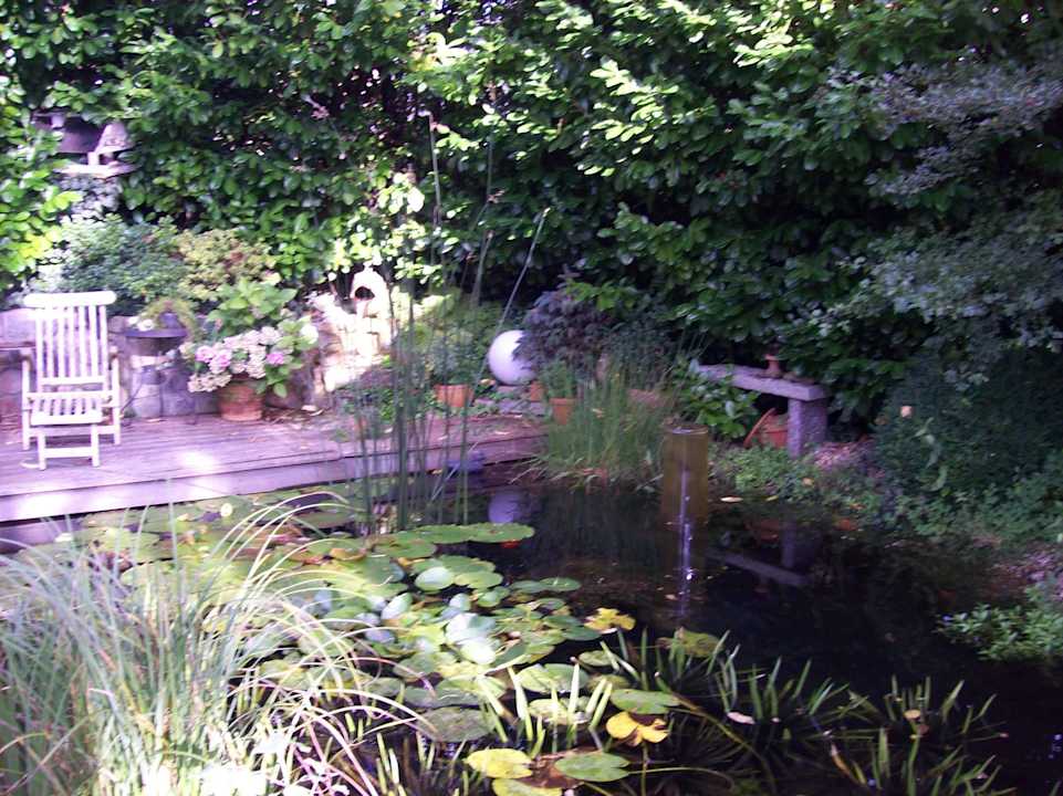 Schön angelegter Teich  Ferienwohnung Steinke