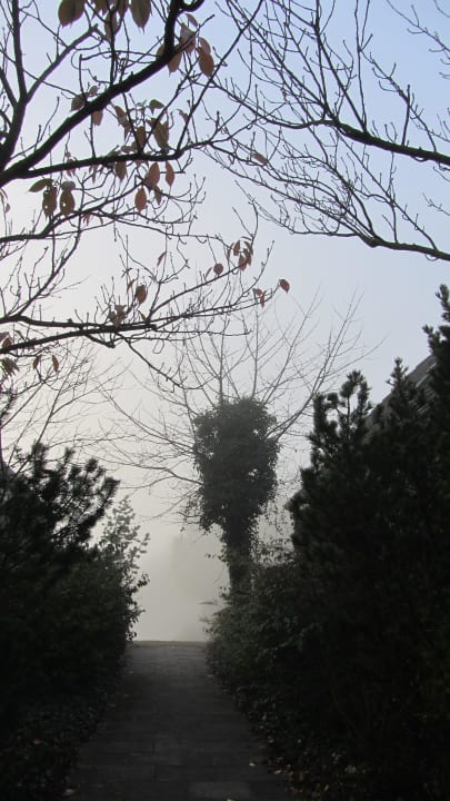 Blick im Nebel auf den See Eurostrand Resort Lüneburger Heide