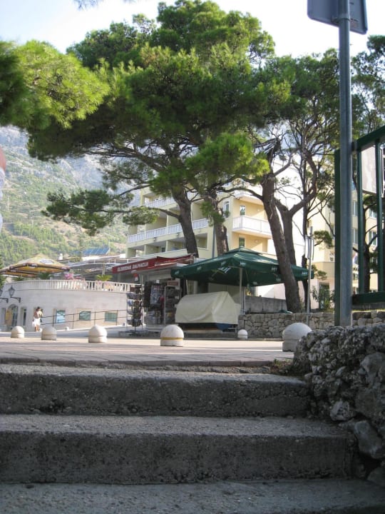 Vom Strand Villa Bacchus