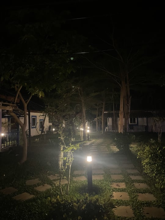 Gartenanlage The Blue Gecko