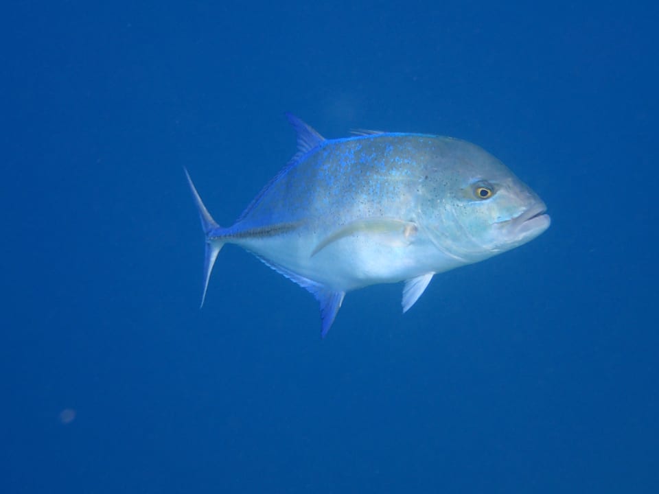 Sonstiges NH Collection Maldives Reethi Resort