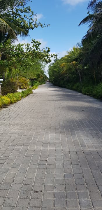 Gartenanlage Akumal Bay Beach & Wellness Resort