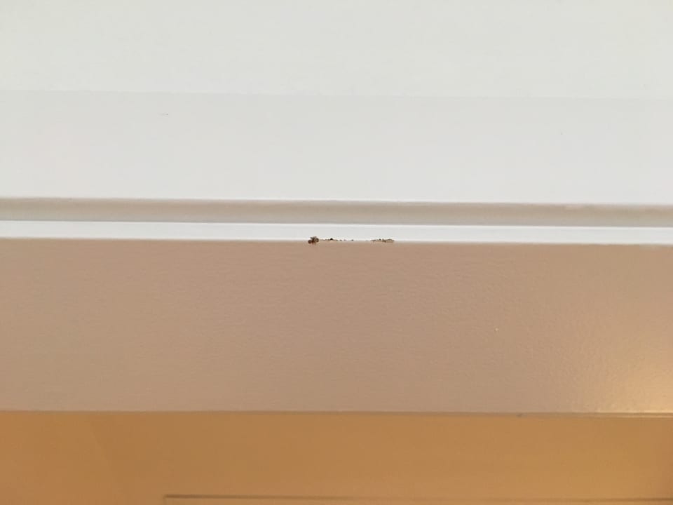 Zimmer allsun Hotel Cristóbal Colón