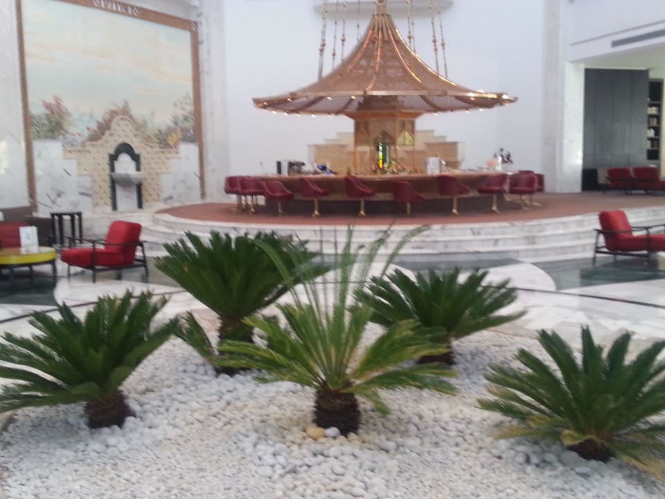 Bepflanzung und Bar Oceana Hotel & Spa