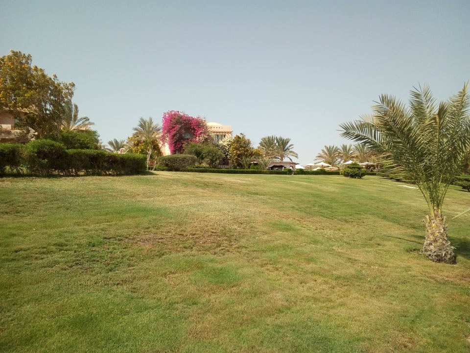 Gartenanlage Hotel Blue Lagoon