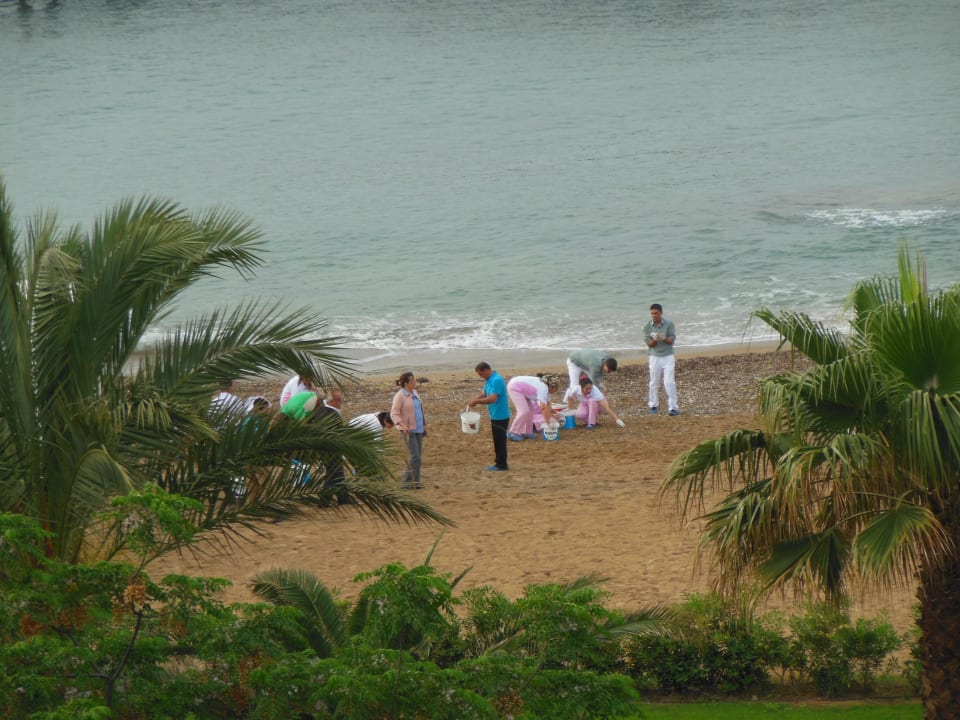 Beach cleaning Arcanus Hotels Sorgun