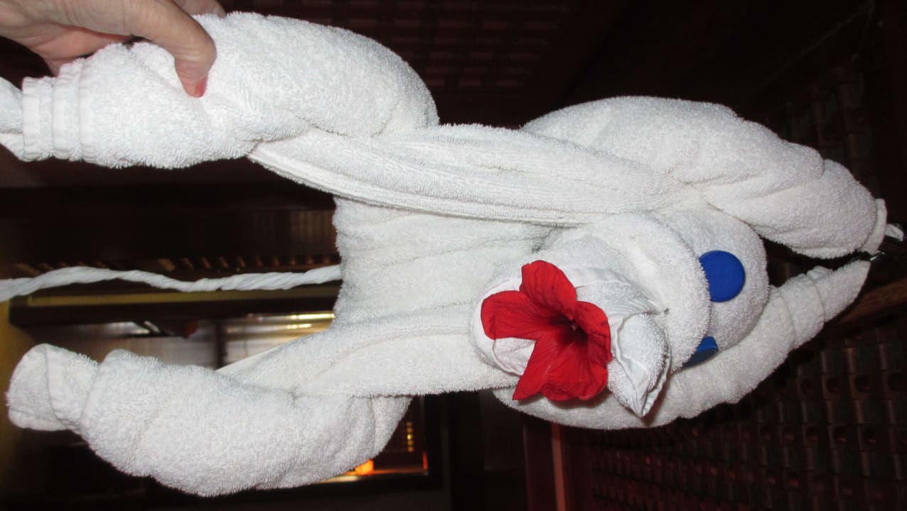 Zimmer Grand Waterworld Makadi & Family Star Makadi