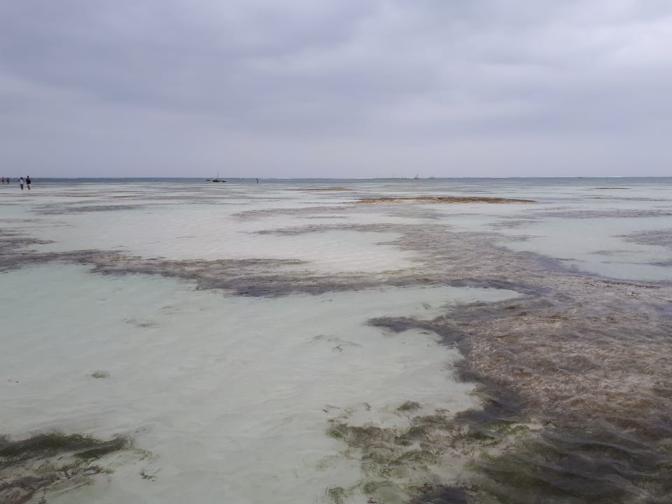 Meer bei Ebbe Neptune Paradise Beach Resort & Spa