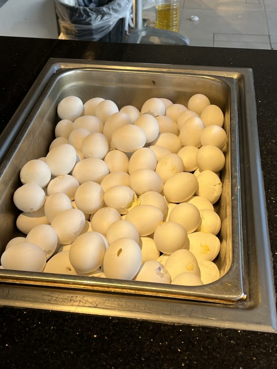 Gastro Hotel Rosa Beach