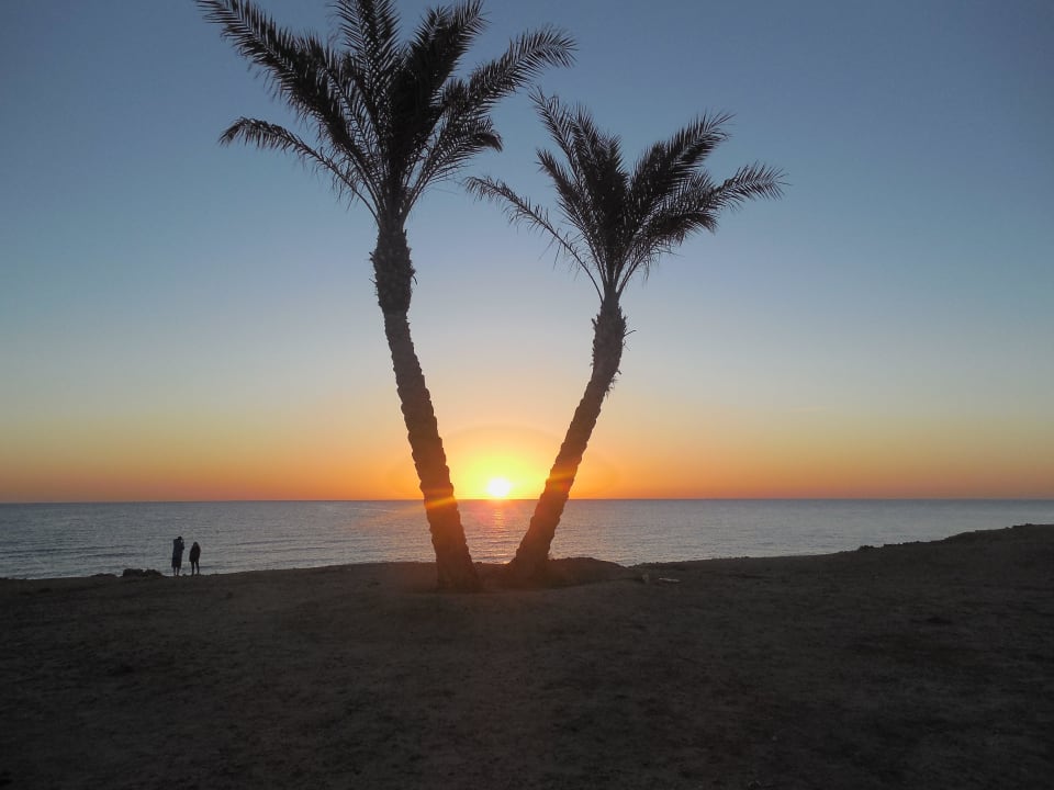 Východ slunce  Malikia Resort Abu Dabbab