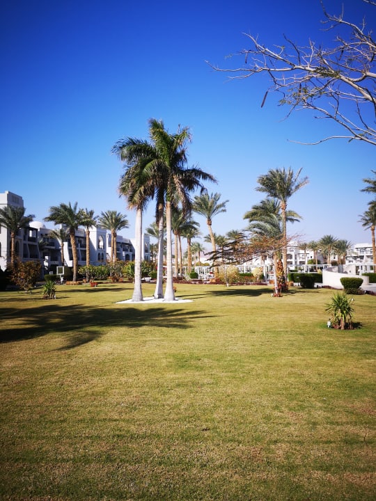 Gartenanlage Steigenberger Alcazar