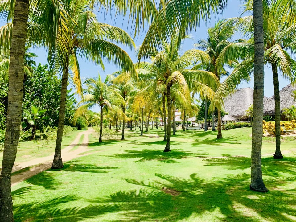 Gartenanlage Royalton Hicacos Resort & Spa - Adults only