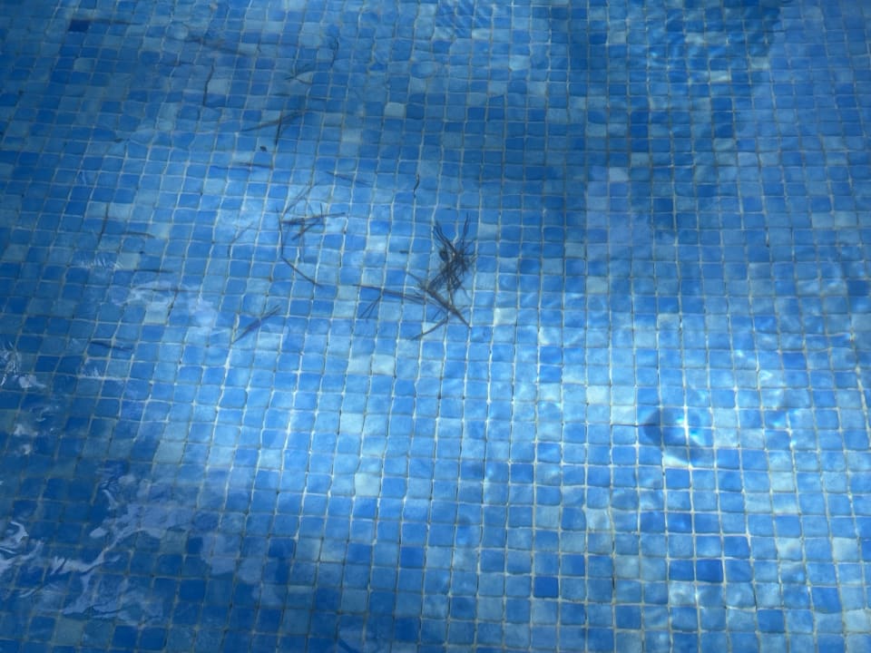 Pool Ona Palmira Paguera