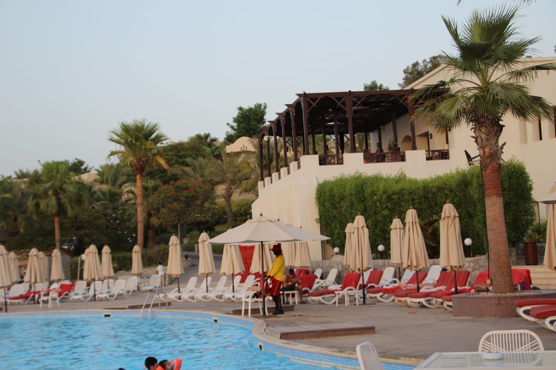 Pool The Cove Rotana Resort