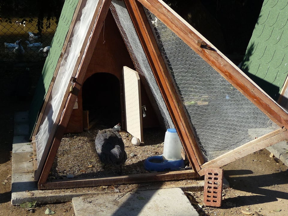 Kleiner Zoo Sunis Elita Beach Resort & Spa