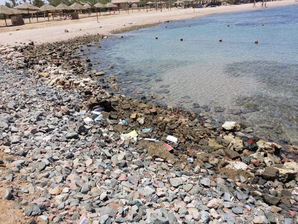 Strand leider verdreckt Blend Club Aqua Resort