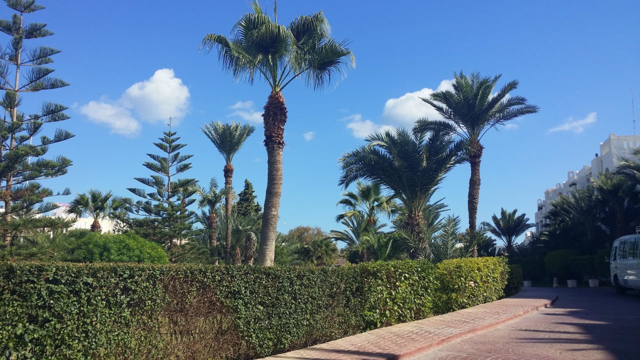 Vor dem Hotel Hotel Djerba Resort