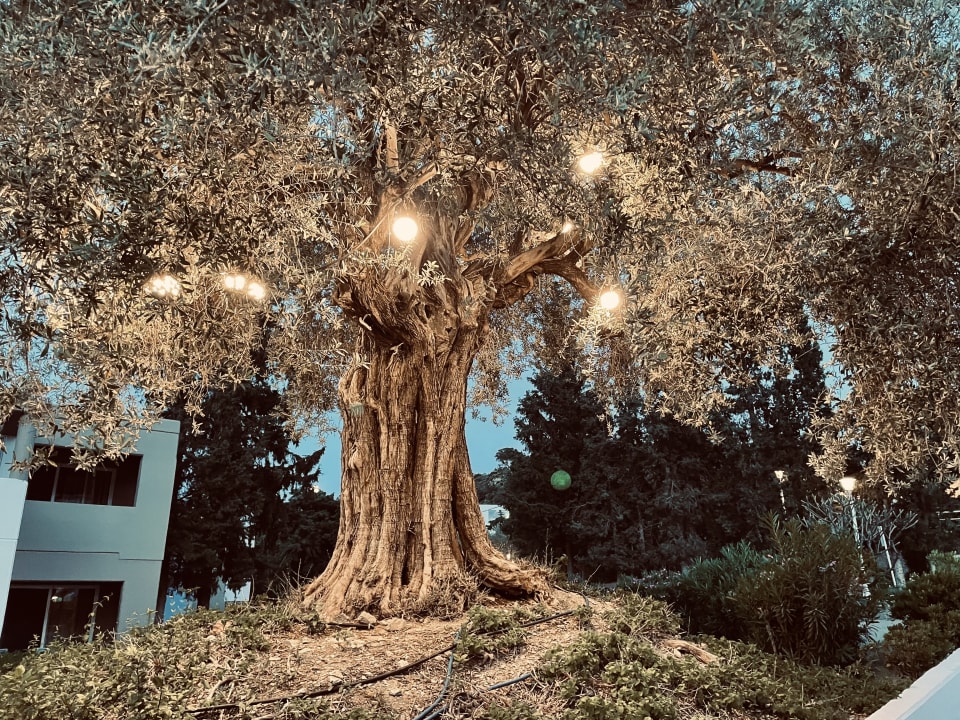 Gartenanlage alltoura Club Hotel Porto Angeli Beach Resort