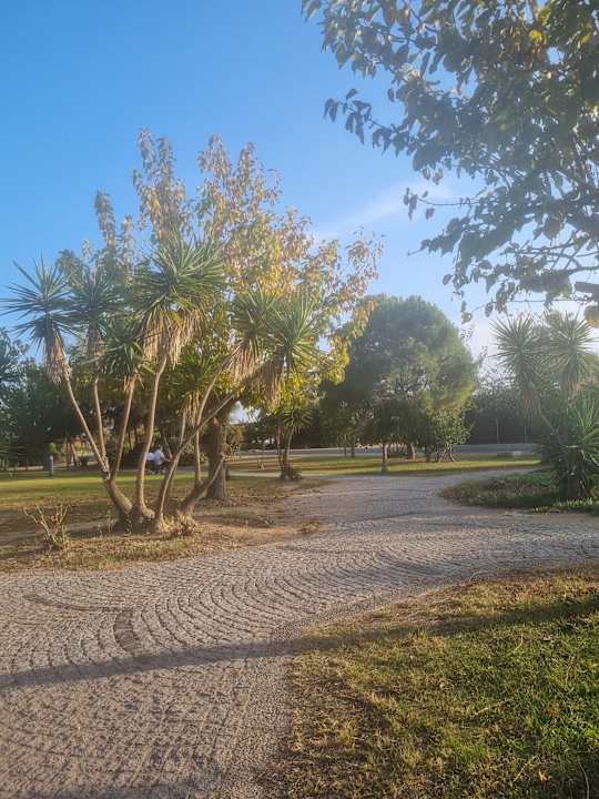 Außenansicht Royal Taj Mahal Hotel
