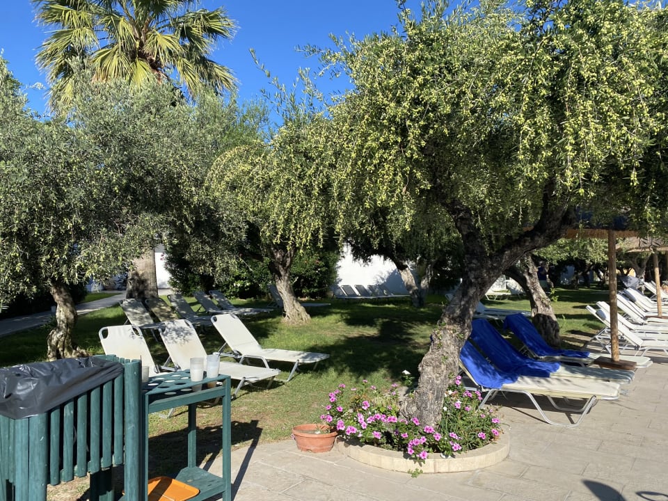 Pool TUI KIDS CLUB Alex Beach