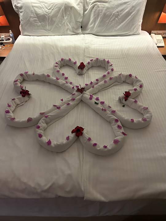 Zimmer Sherwood Dreams Resort