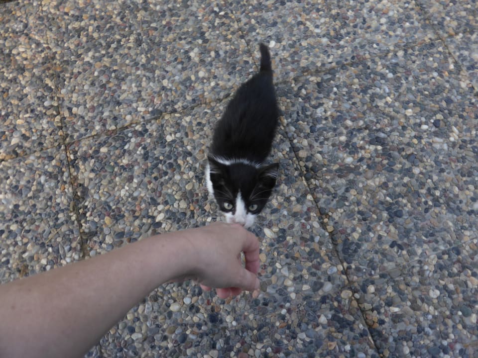 Sonstiges VONRESORT Golden Coast