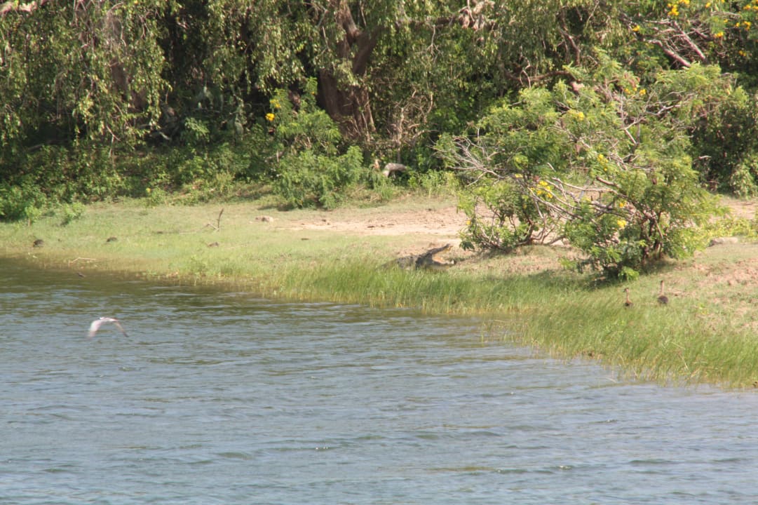 Sonstiges Hotel Jetwing Yala