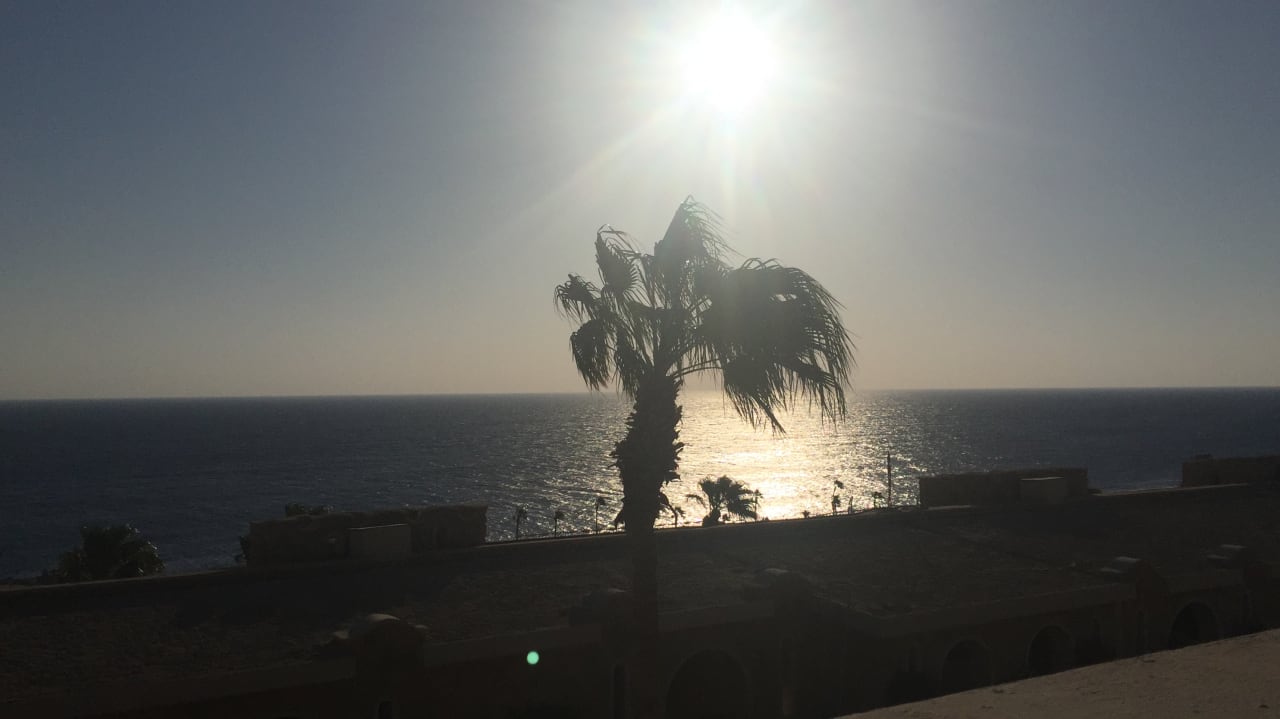 Zimmer Pickalbatros Citadel Resort