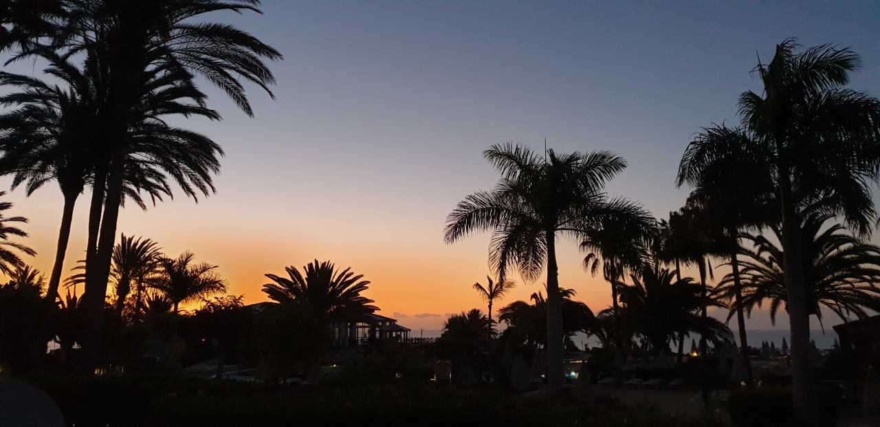 Gartenanlage R2 Pajara Beach