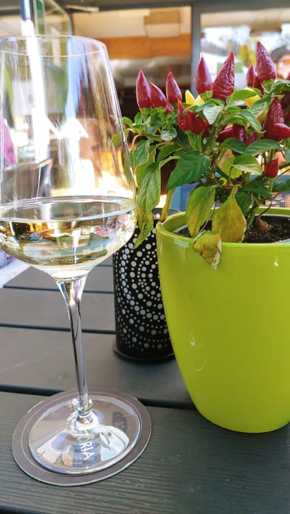 Gastro Hotel Victoria - Adults Only