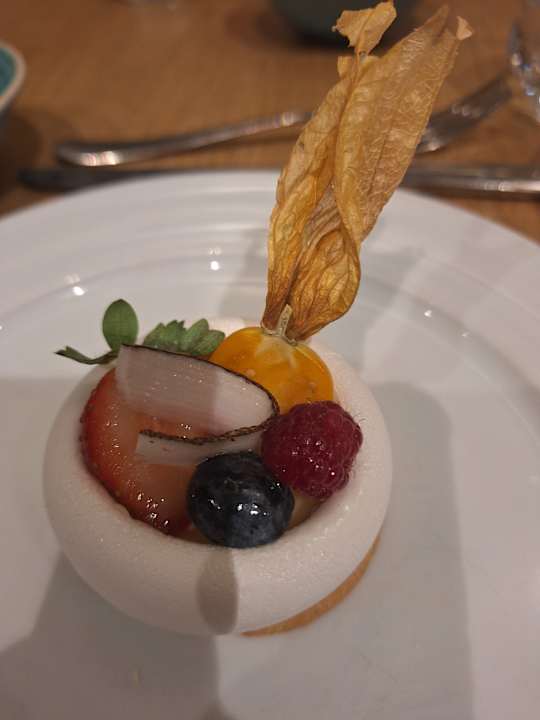 Gastro Acanthus Cennet Barut Collection